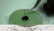 EYELASH EXTENSIONS TRAINING COURSE BY: XTREMELASHCANADA