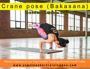 dive deeper into the practice of Ashtanga!! Join Yoga Retreat in Goa