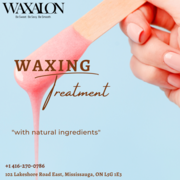 Waxing and sugaring Hair Removal Service - Waxalon