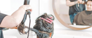 Hair Salon in Cloverdale | Root Touch Up & Highlights